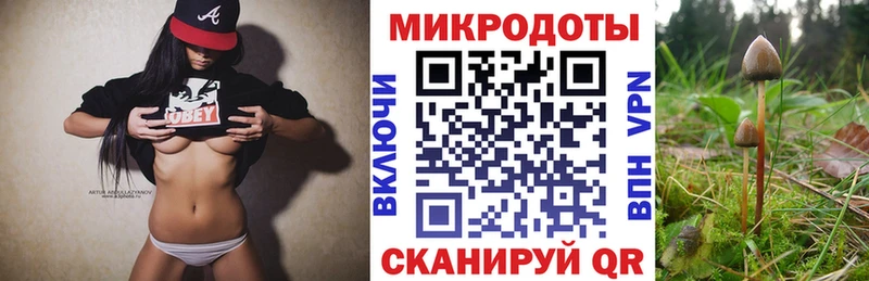как найти закладки  Наволоки  Псилоцибиновые грибы мицелий 